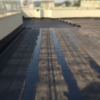 Cond-Bonamis-3